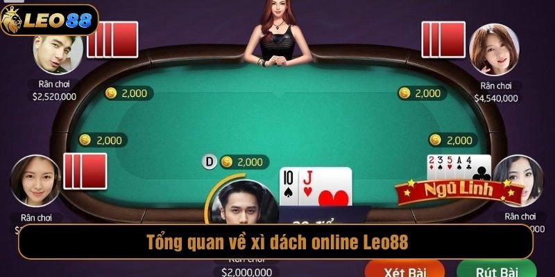 Xì Dách Online Leo88 – Sân Đấu Thách Thức May Mắn Và Trí Tuệ Tổng quan về xì dách online Leo88