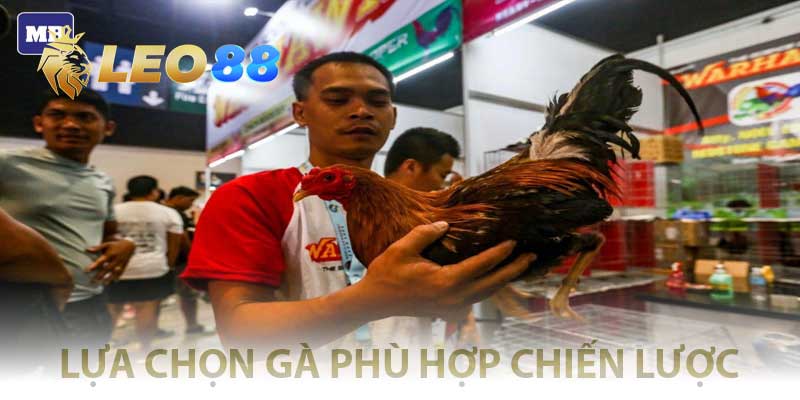 Đấu Gà Tỷ Phú – Kèo Sát Phạt Căng Đét, Cược Một Ăn Triệu! lựa chọn gà phù hợp với chiến lược