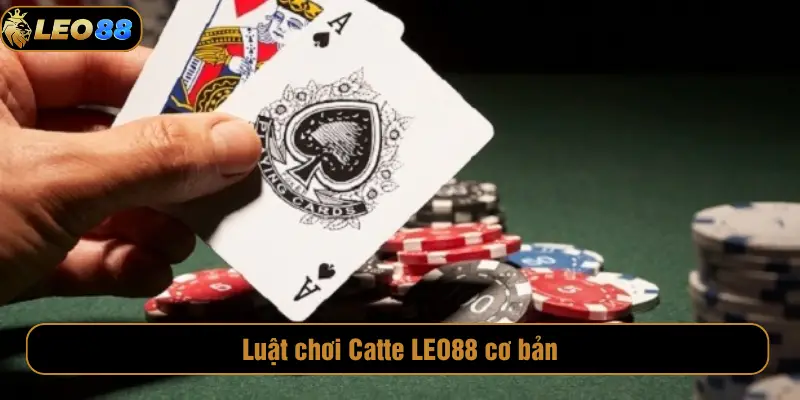 Catte LEO88 – Luật Chơi Chuẩn, Trải Nghiệm Đỉnh Cao Luật chơi Catte LEO88 cơ bản