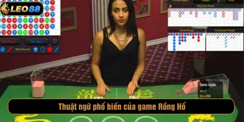Luật Chơi Rồng Hổ Leo88 Và Kinh Nghiệm Cược Luôn Thắng Thuật ngữ phổ biến với game Rồng Hổ