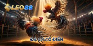 đá gà cổ điển